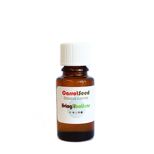 essential oil - carrot seed 15ml