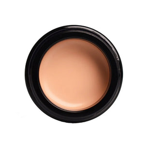 skin palette - 06 - concealer + foundation 9g