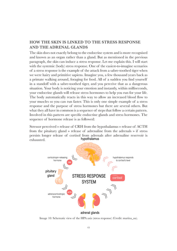 The Truth About Melasma by Janett Juwien