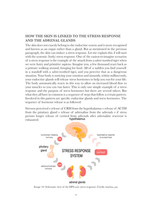 The Truth About Melasma by Janett Juwien