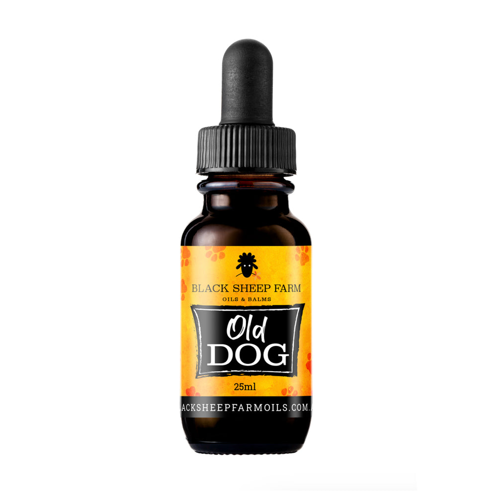 pet hemp oil - old dog 25ml