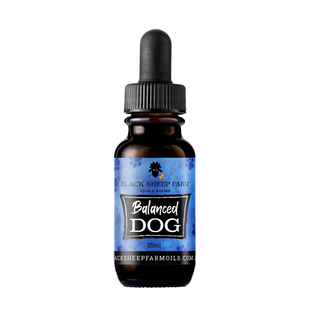 pet hemp oil - balanced dog 25ml