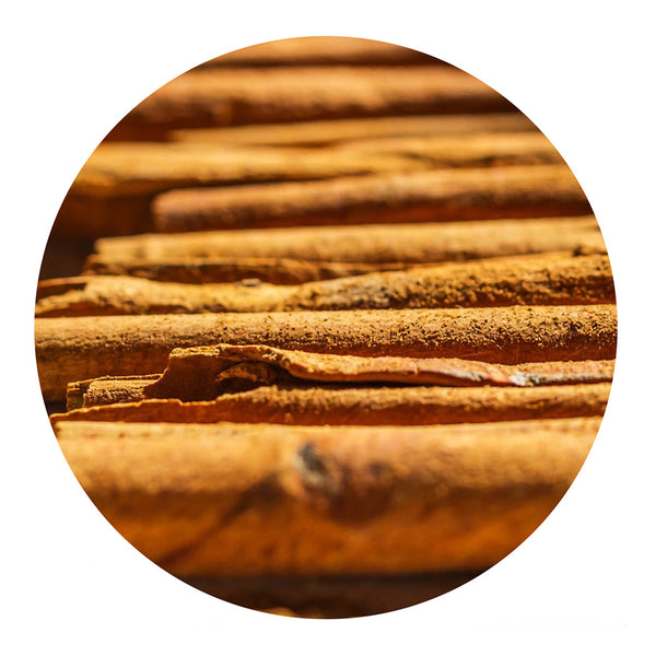 essential oil - cinnamon bark 15ml