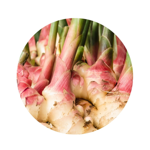 essential oil - ginger root 15ml