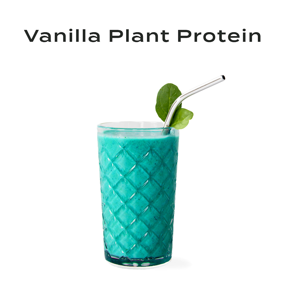 plant protein 848g (24 serves)