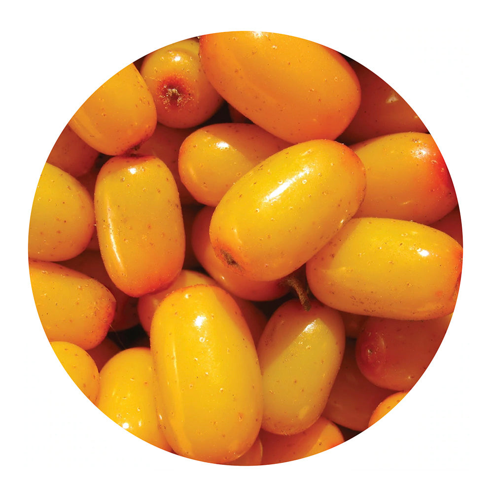 essential oil - seabuckthorn berry 15ml